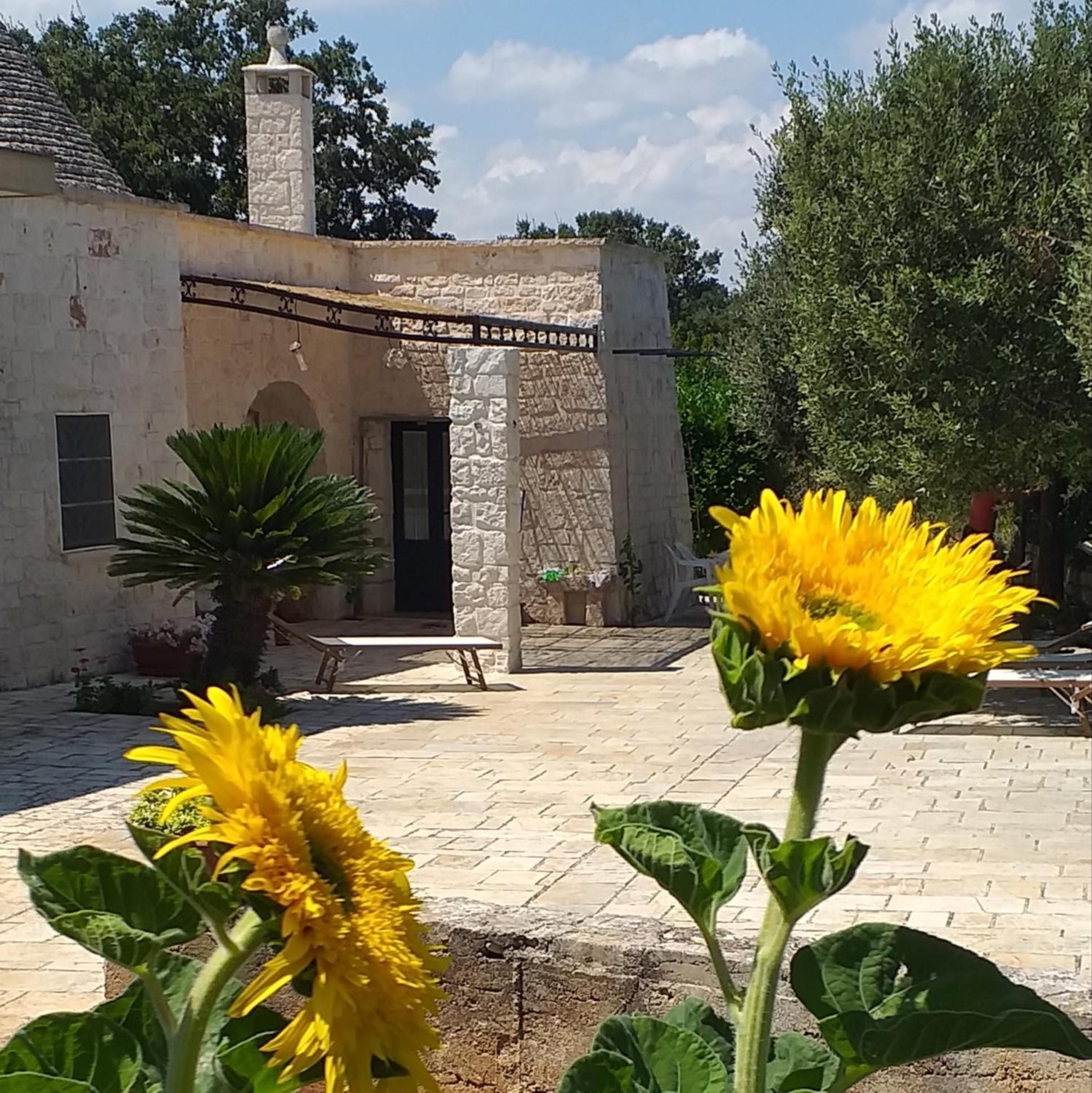 Villa Trulli: La Pace Dei Sensi à Alberobello Extérieur photo